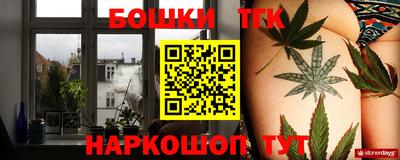 гашик Гай