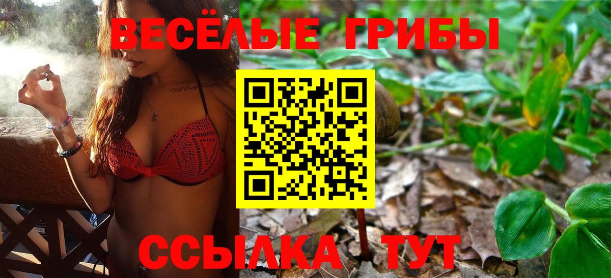 Псилоцибиновые грибы мицелий Прокопьевск