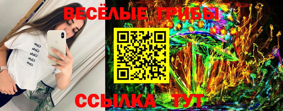 Галлюциногенные грибы прущие грибы  Вход с VPN  Прокопьевск 